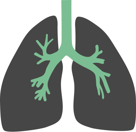 Asthma - Lungs Flat Icon Png (444x431)