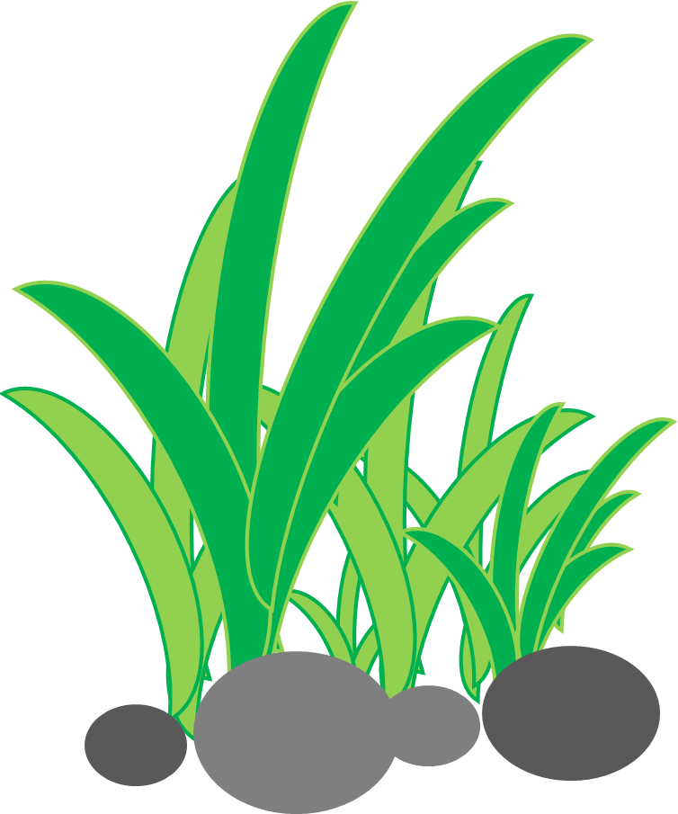 Membuat Rumput Di Powerpoint - Rumput Animasi (754x905)