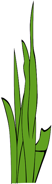 Free Pictures Blades Of Grass - Lawn (320x640)