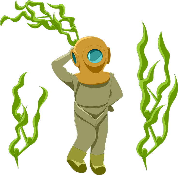 Cartoon Weed - Gambar Animasi Rumput Laut (735x720)