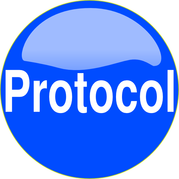 Blue Button Protocol Clip Art At Clker - Protocol (600x600)