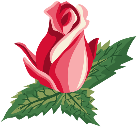 Rose Bud Icon Transparent Png - Botão De Rosa Png (512x512)
