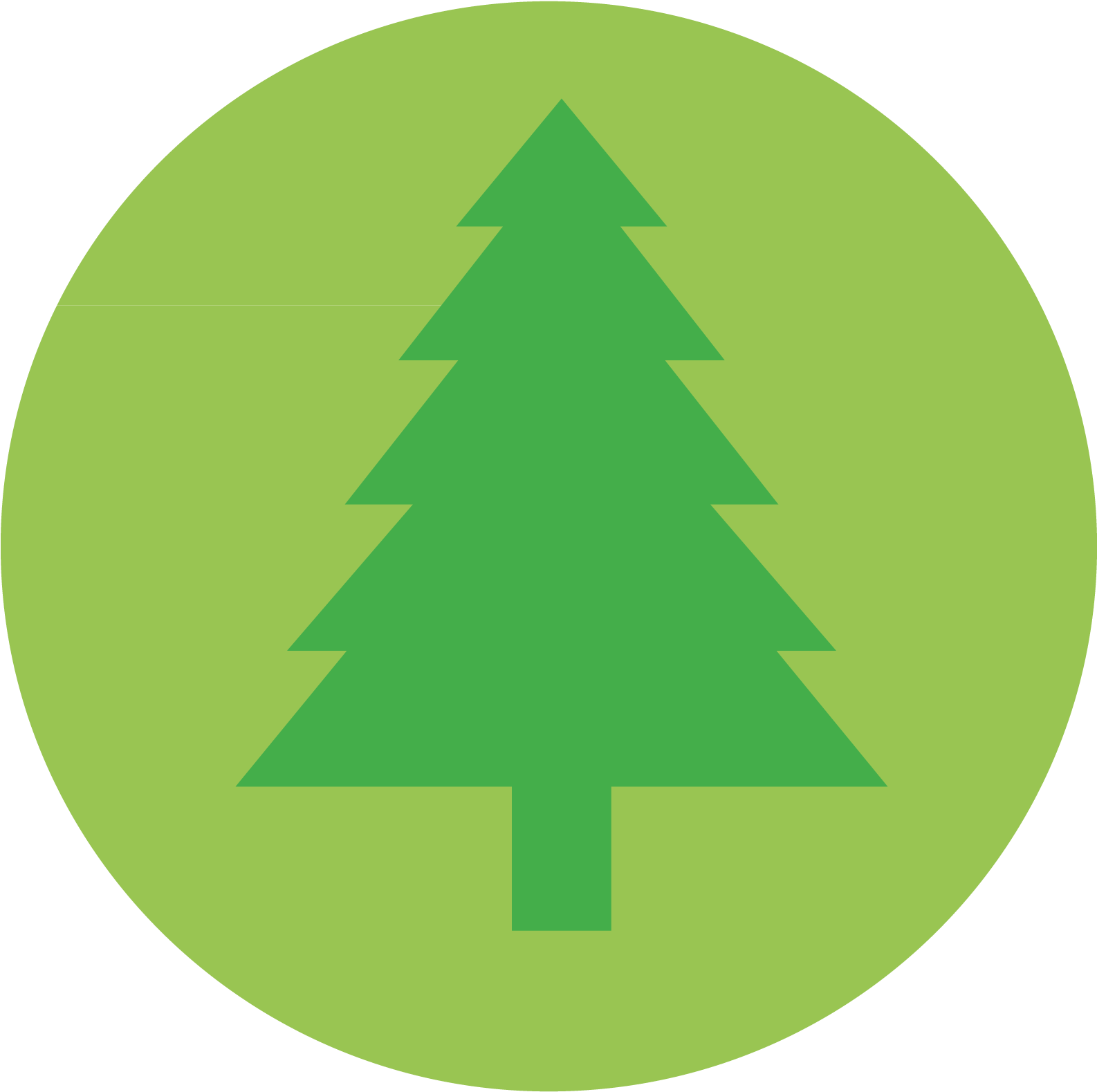 Tree Icon Conservation Icon Image - Fir Tree Icon Png (1600x1600)