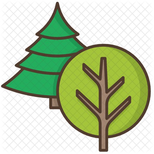 Trees Icon - Coniferous And Deciduous Trees Clipart (512x512)