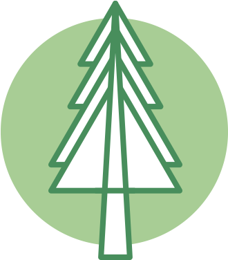 Boreal Forest Png (671x486)