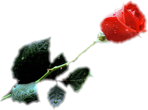 And Visit Us Again Real Soon - False Karaoke - Barbra Streisand (500x374)