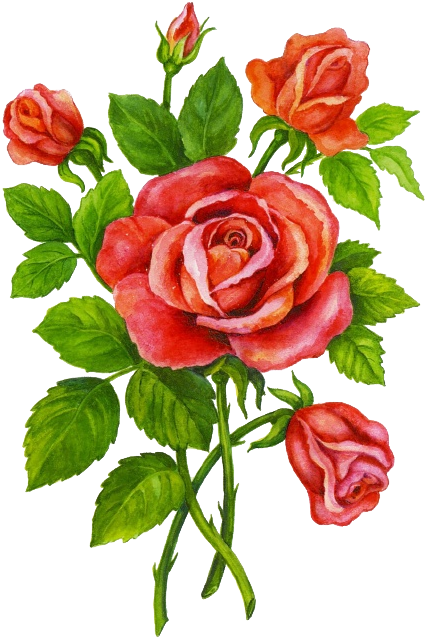 Flower Garden Roses Child Clip Art - Flower Garden Roses Child Clip Art (454x654)