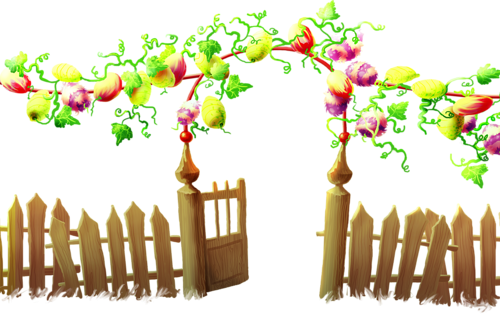 Fences - Garden (800x502)