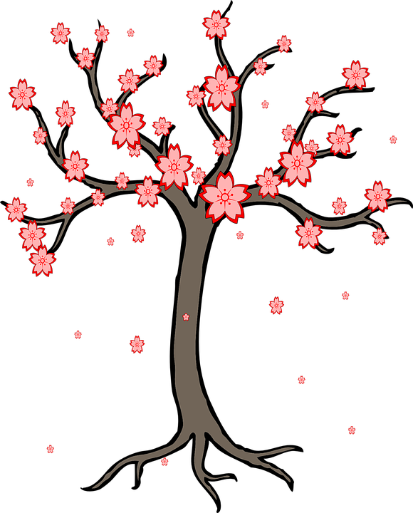 Cartoon Cherry Blossom Tree - Bare Tree Clip Art (580x720)