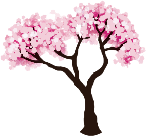 Cherry Tree Clipart Transparent - Easy Cherry Blossom Tree Drawing (1024x815)