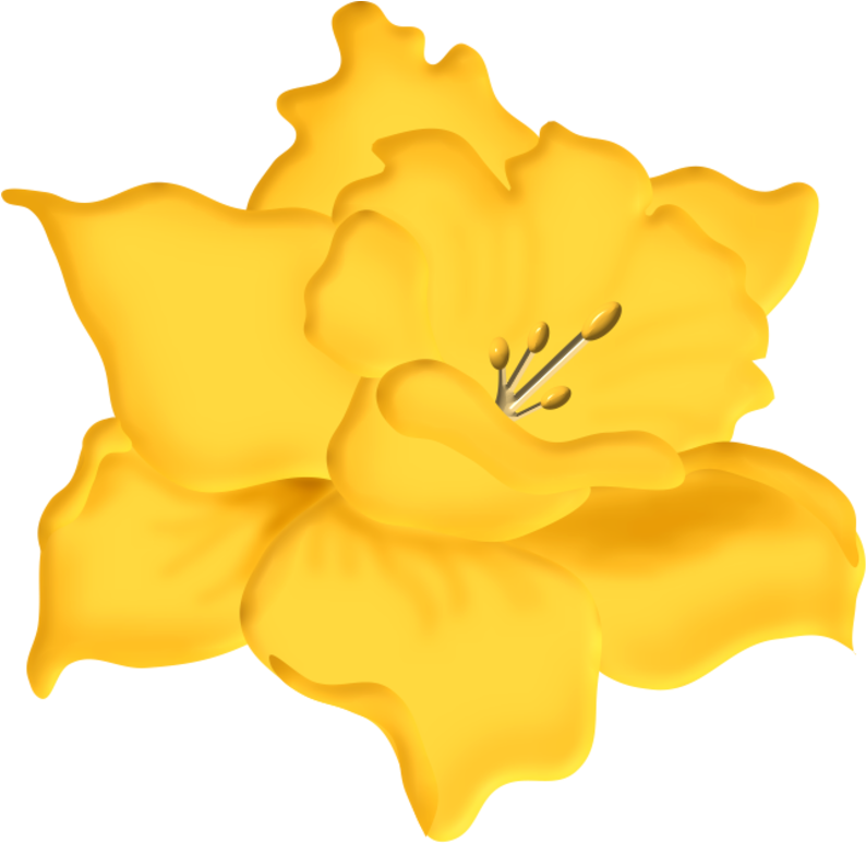 Jonquille18m3 - Lily (800x772)