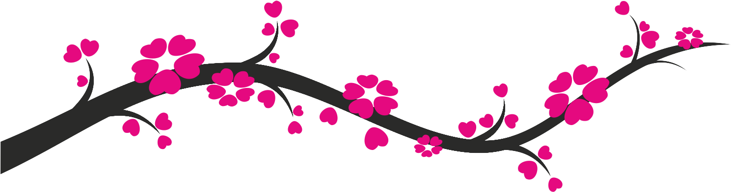 Cherry Blossom Png Transparent (1500x608)