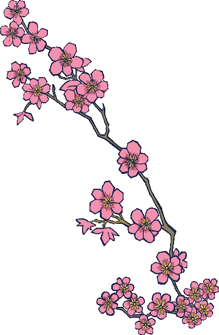 Download Cherry Blossom Hd Png Clipart Image - Cherry Blossom Tattoo Designs (443x678)