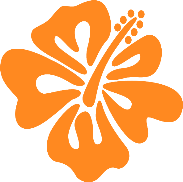 Suivant - Hawaiian Hibiscus (800x800)
