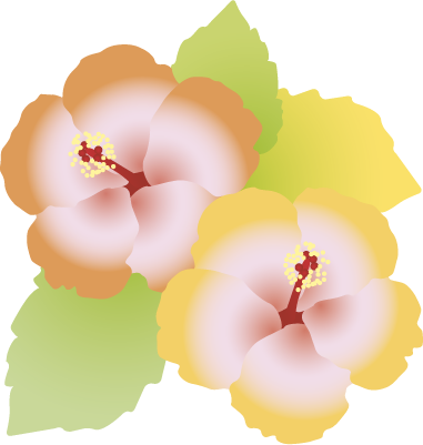 ハイビスカス, ハイビスカス - Illustration (381x401)