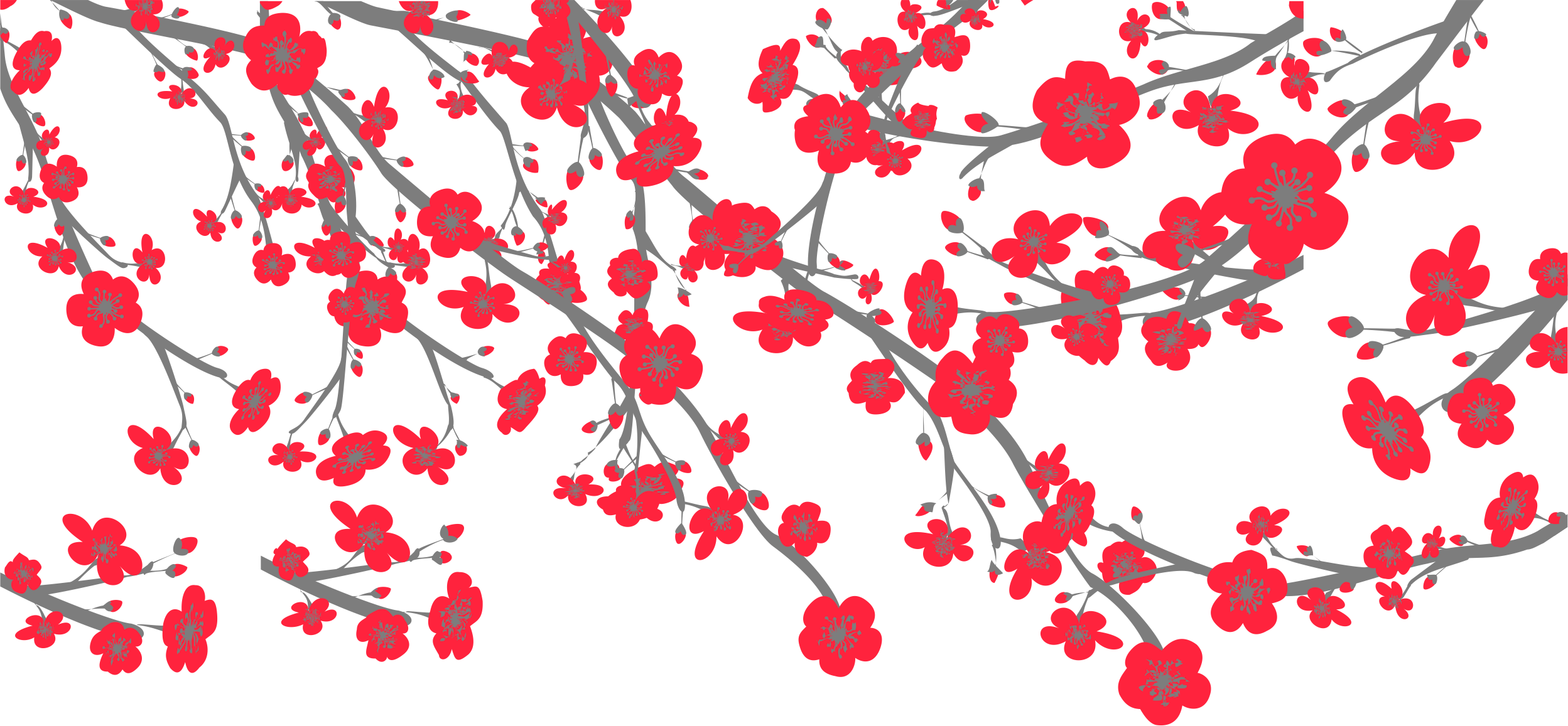 Red Cherry Blossom Cerasus - Red Sakura Png (2497x1157)