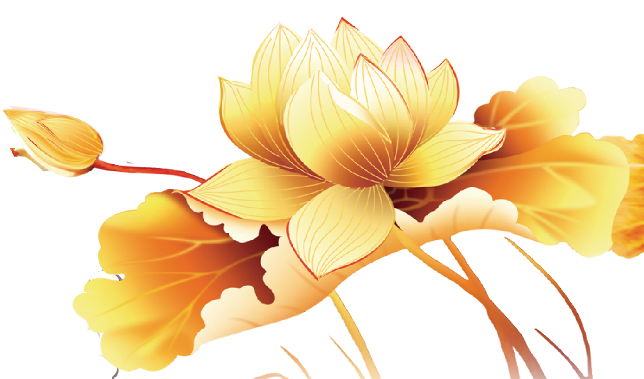 M#autumn Festival Flower Traditional Chinese Holidays - Golden Lotus Png (3050x2050)