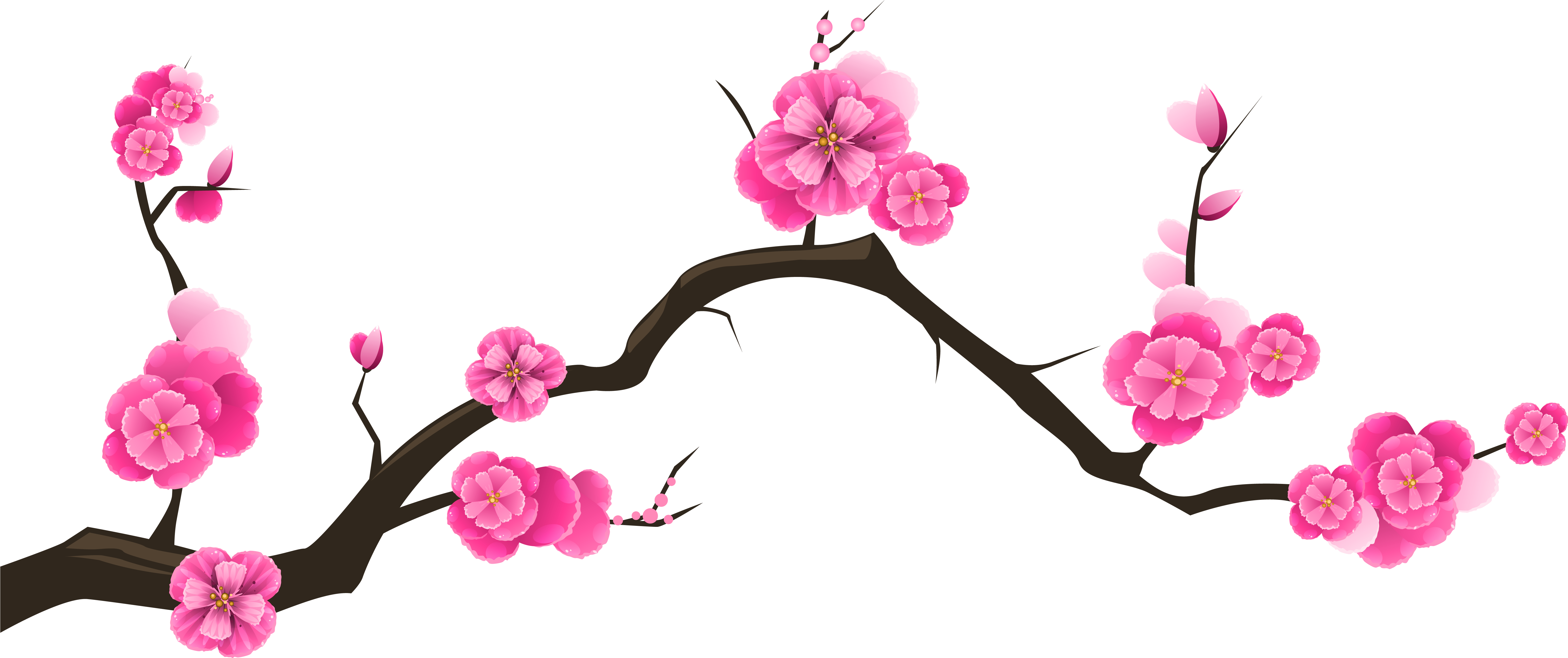 Sakura Branch Transparent Clip Art Image - Transparent Background Cherry Bl...