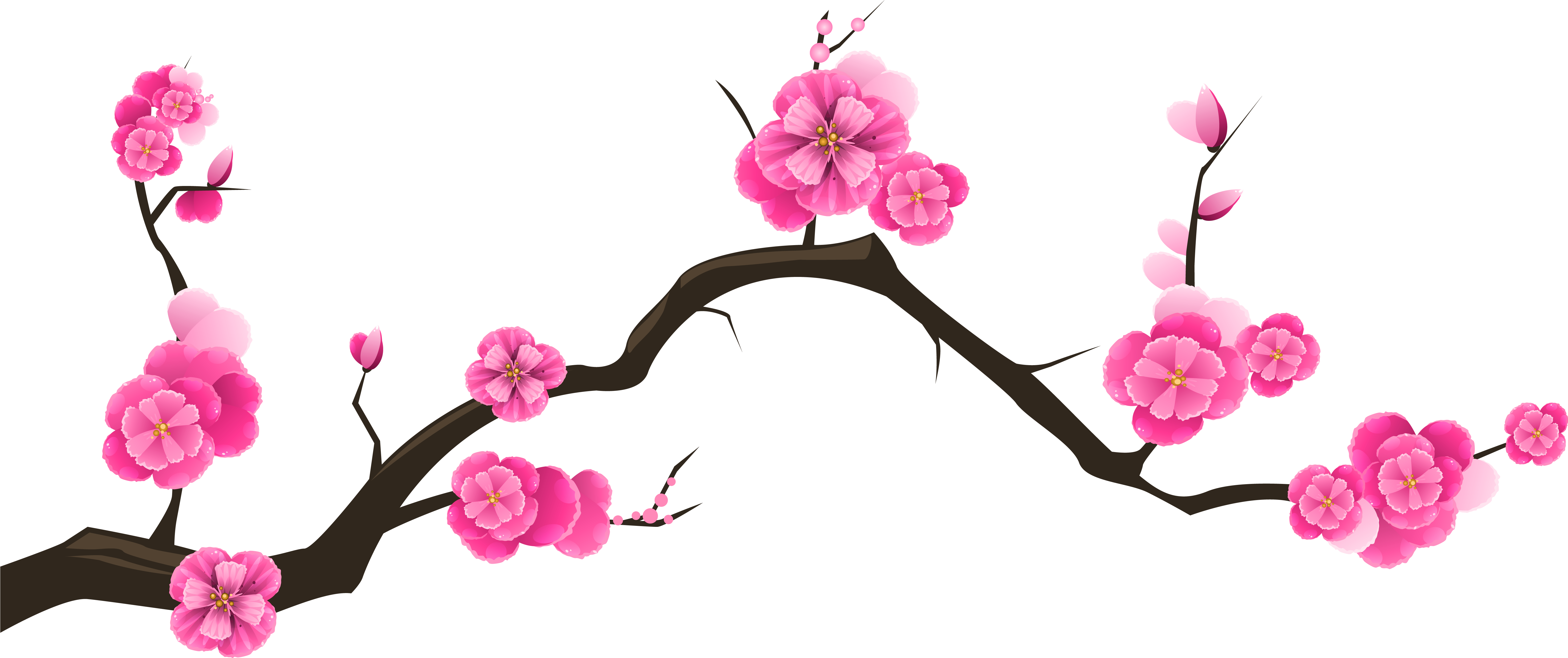 Sakura Branch Transparent Clip Art Image - Transparent Background Cherry Blossom Clip Art (6230x2705)