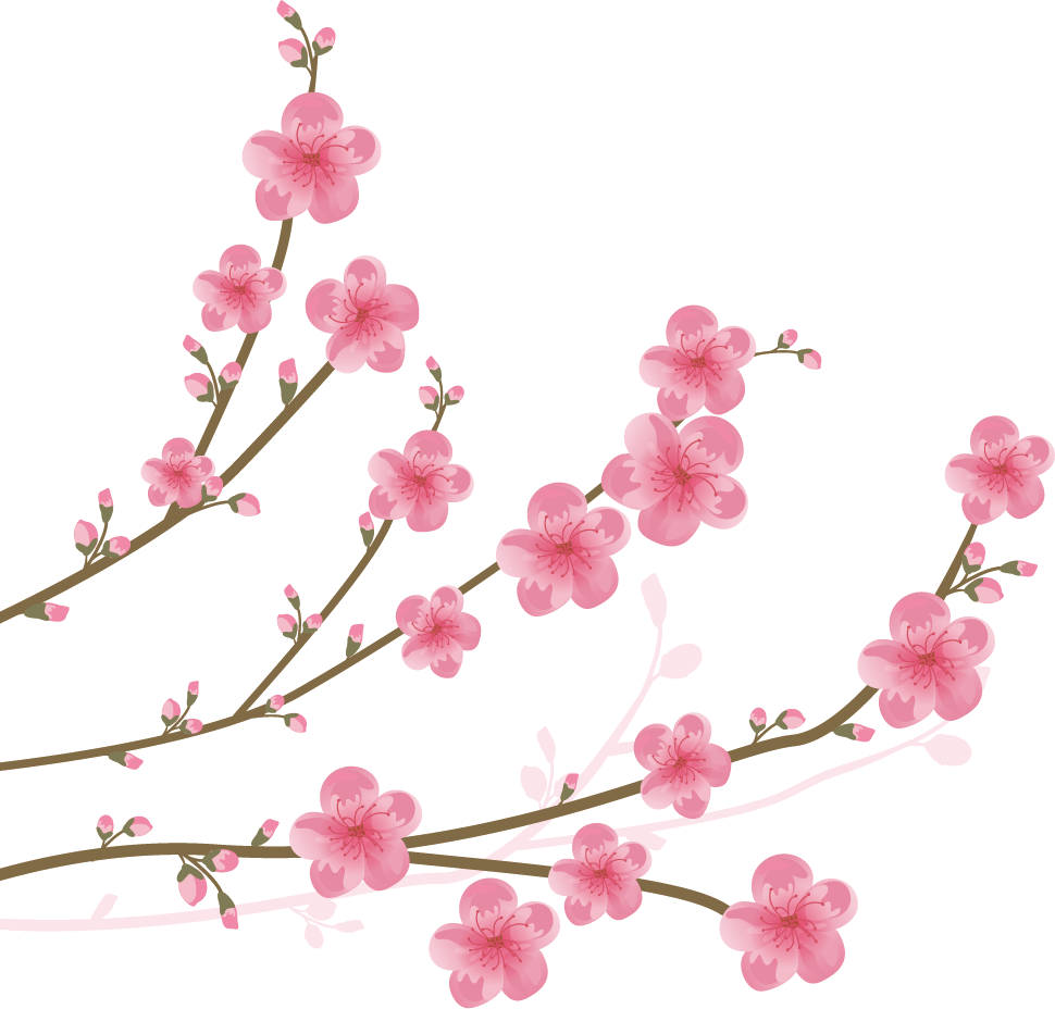 Cherry Blossom Clip Art - Clip Art Cherry Blossom (970x928)