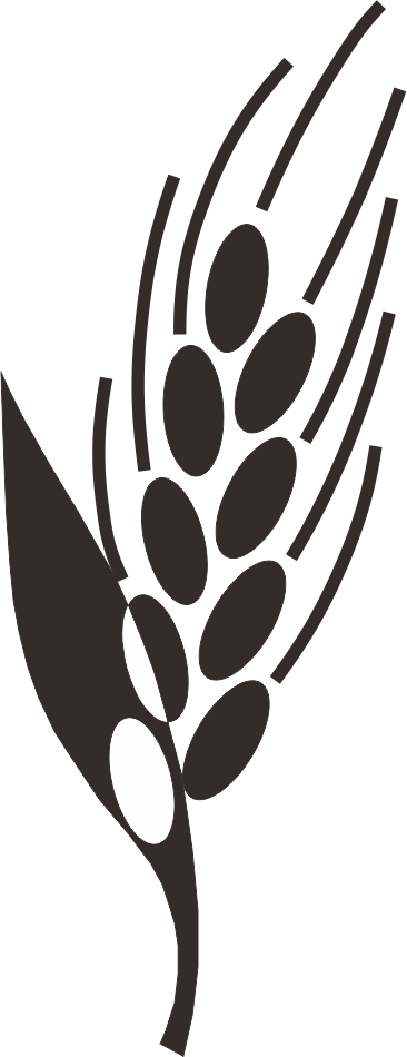 Black And White Paddy Field Rice Clip Art - Paddy Image Black And White (366x950)