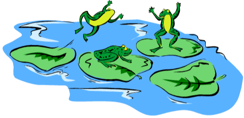 Whats In The Pond - Frog Pond (502x242)