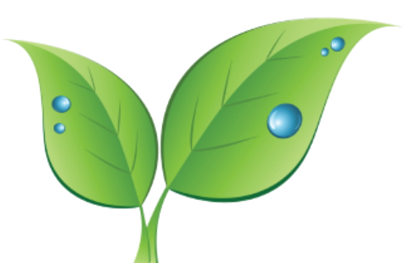 Plants Everywhere Leaves - Dew Point Clip Art (819x529)