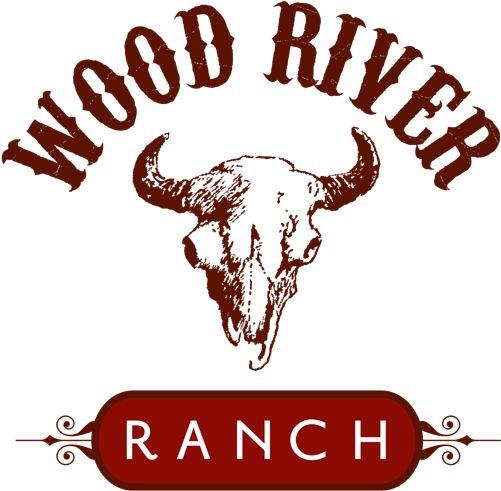 Panic! At The Disco (500x502)