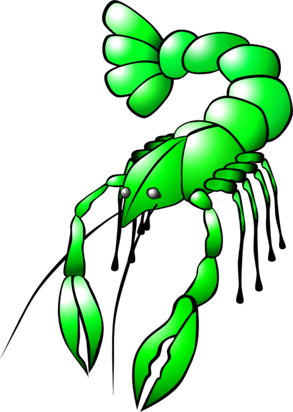Vector Clip Art - Crawfish Clip Art (600x842)