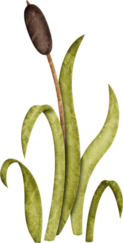 Jss Happycamper Cattail 2 - Camping (254x500)