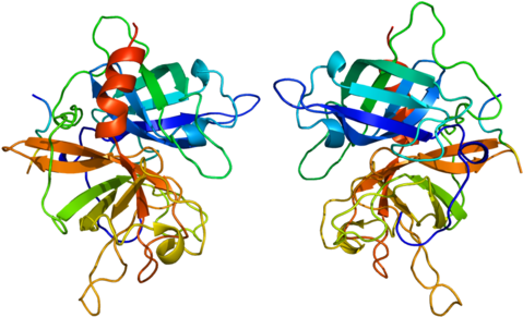 Available Structures - Кристаллическая Структура Белка (500x312)