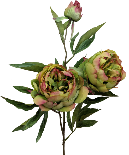 Garden Roses Flowerpot Plastic Ikea Cachepot - Garden Roses Flowerpot Plastic Ikea Cachepot (800x600)