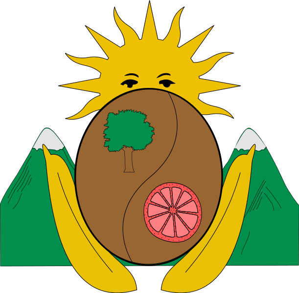 Cartoon Pineapple 19, Buy Clip Art - Escudo De Villarrica (611x600)