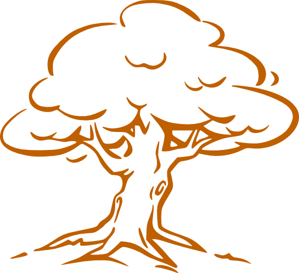 Brow Tree Outline Clip Art At Clker - Oak Tree Drawing Easy (600x548)