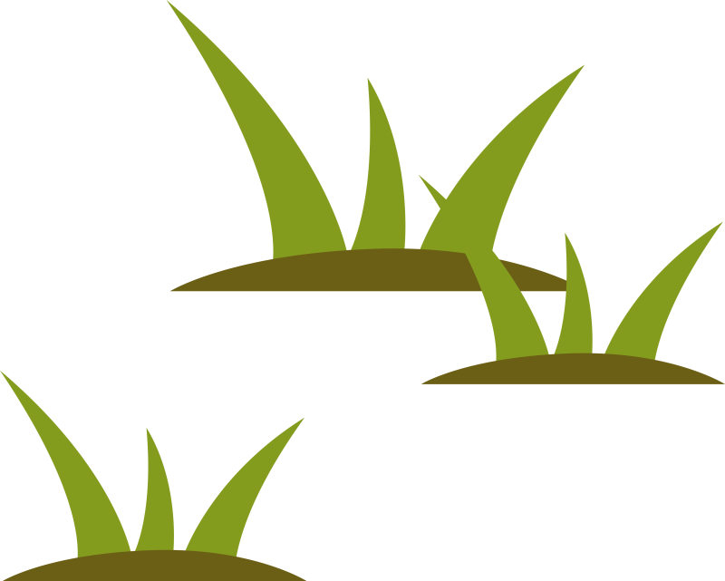 Stylized Wetlands Grass Illustration - Grass Illustration Png (800x641)