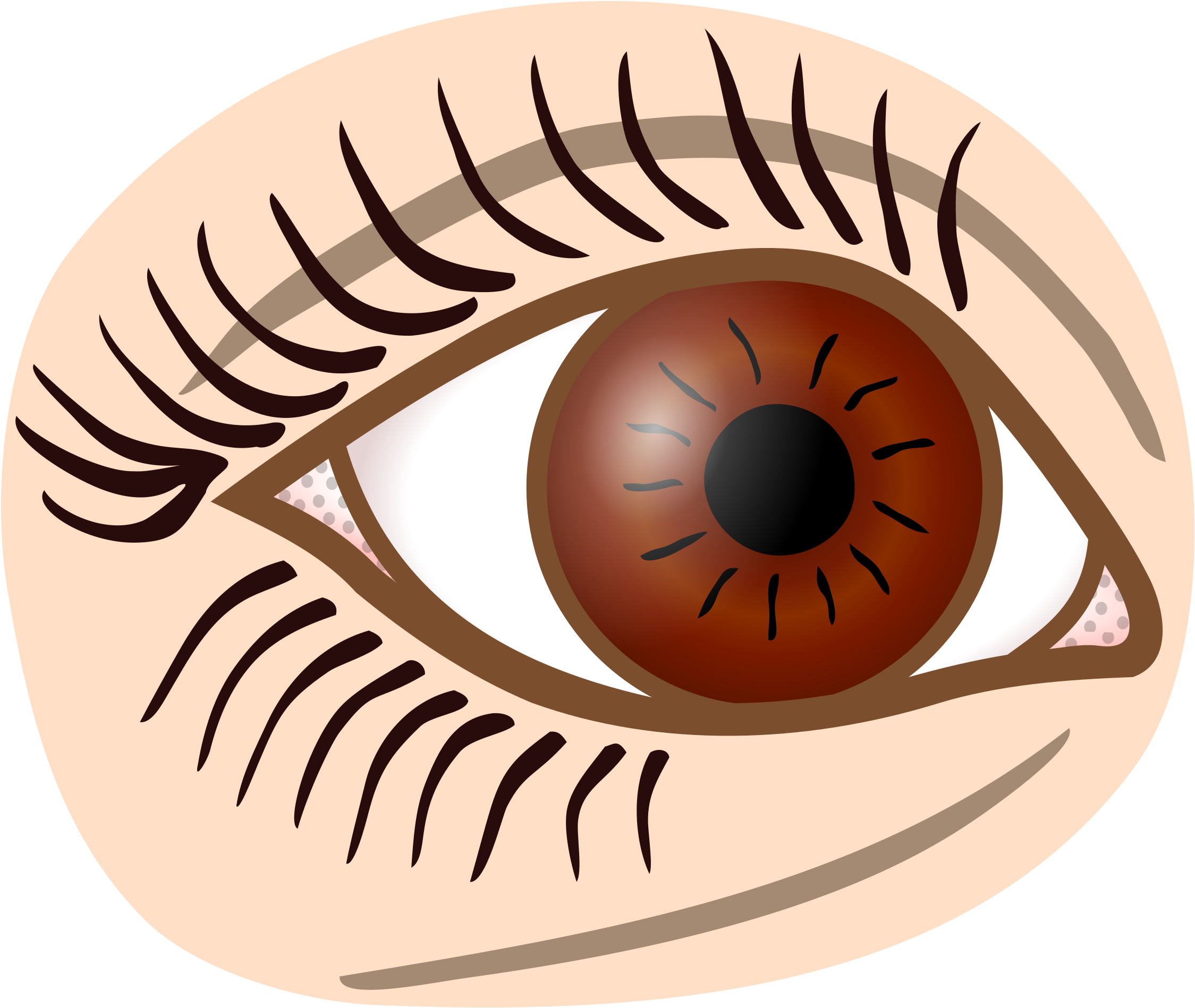 Big Image - De Olhos Castanhos De Desenho (2400x2049)