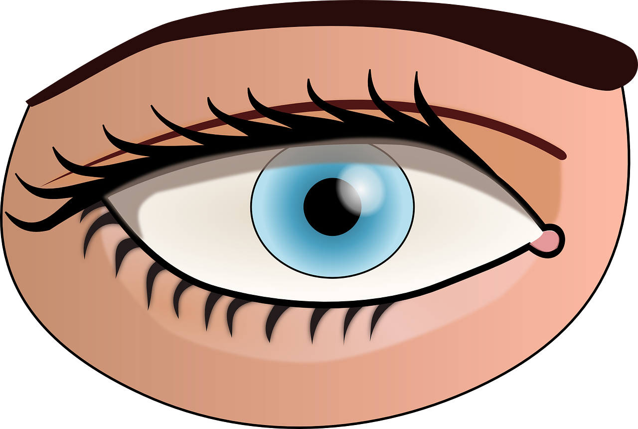Eye Face Human Body Blue Png Image - Parts Of The Body Eye (1280x860)