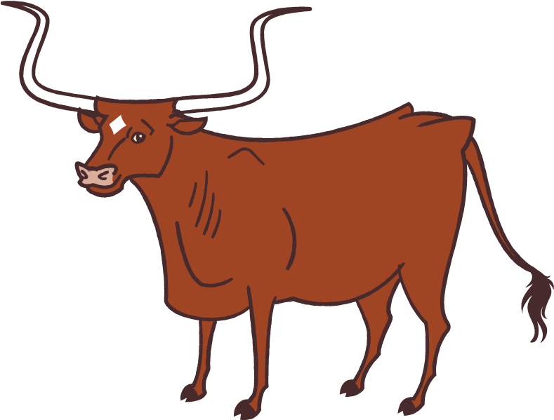 Texas State Animals 1 - Texas State Animals 1 (1000x695)