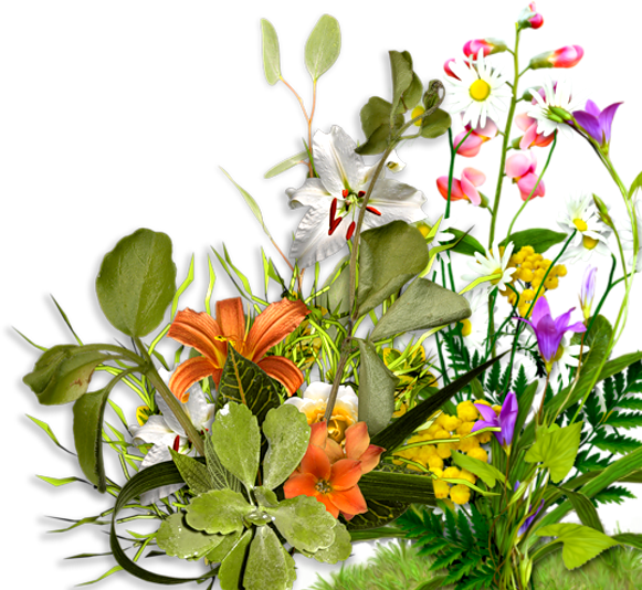 Flower Bouquet Garden Roses Blume - Flower Bouquet Garden Roses Blume (581x534)
