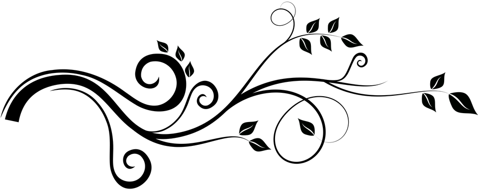 Vine Illustration 17, - Found My Mister But I Need A Sister. Will You Be My (960x480)