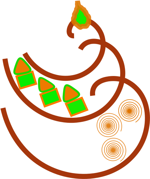 Free La Pasteleria De Maria Free Bollos Free Kleenex - Cake (566x800)