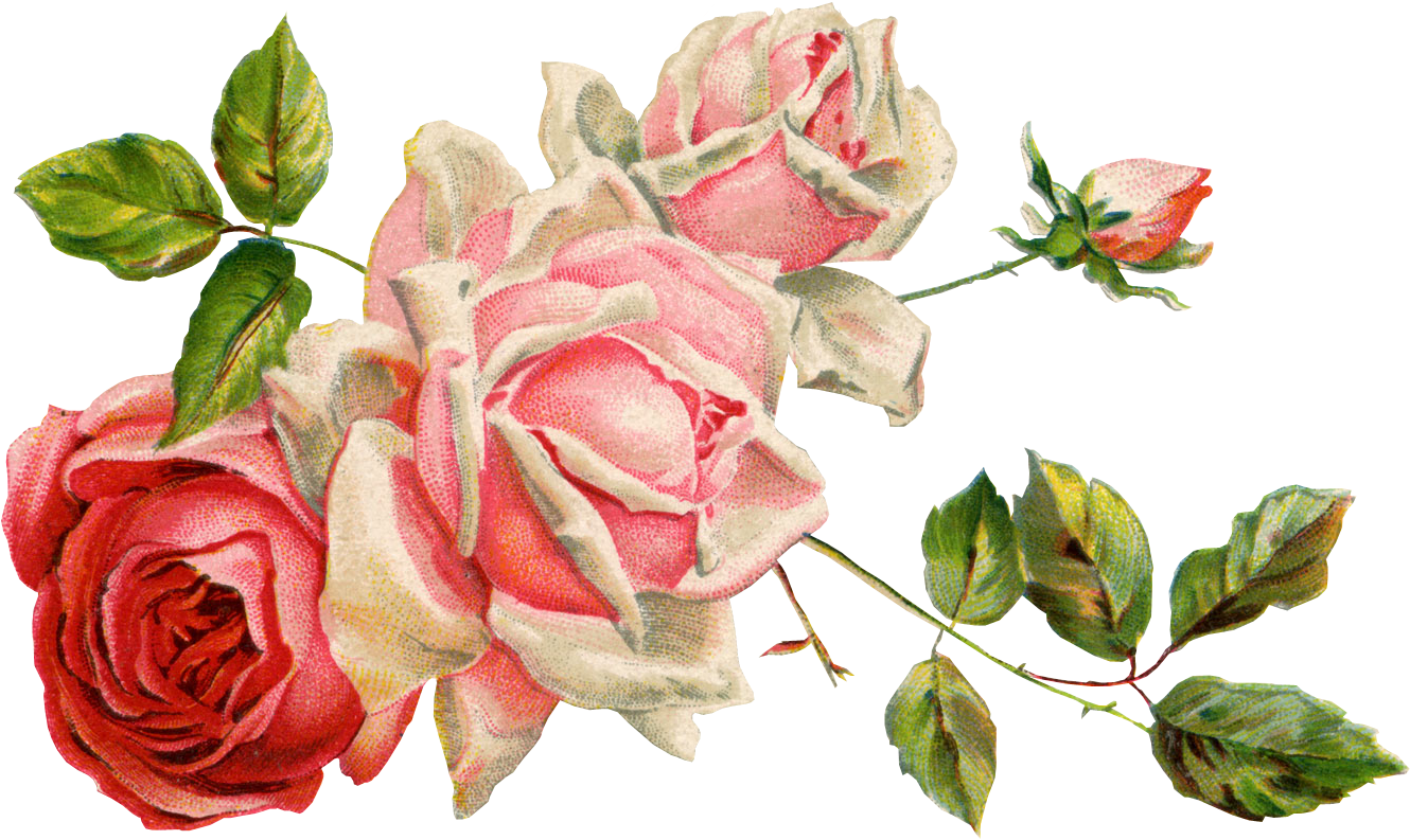 Cut Flowers Floral Design - Portable Network Graphics (1368x834)