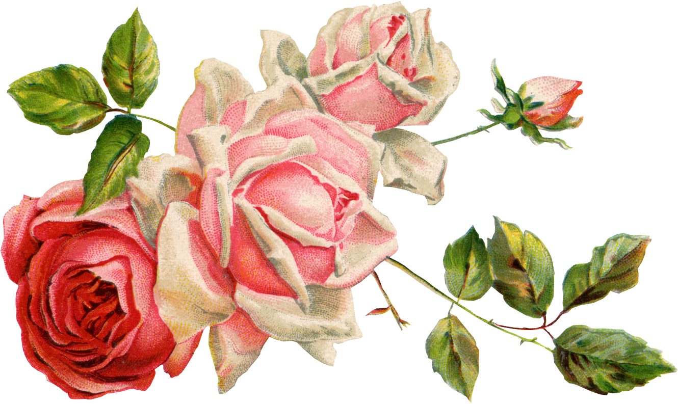 Из картинки в png