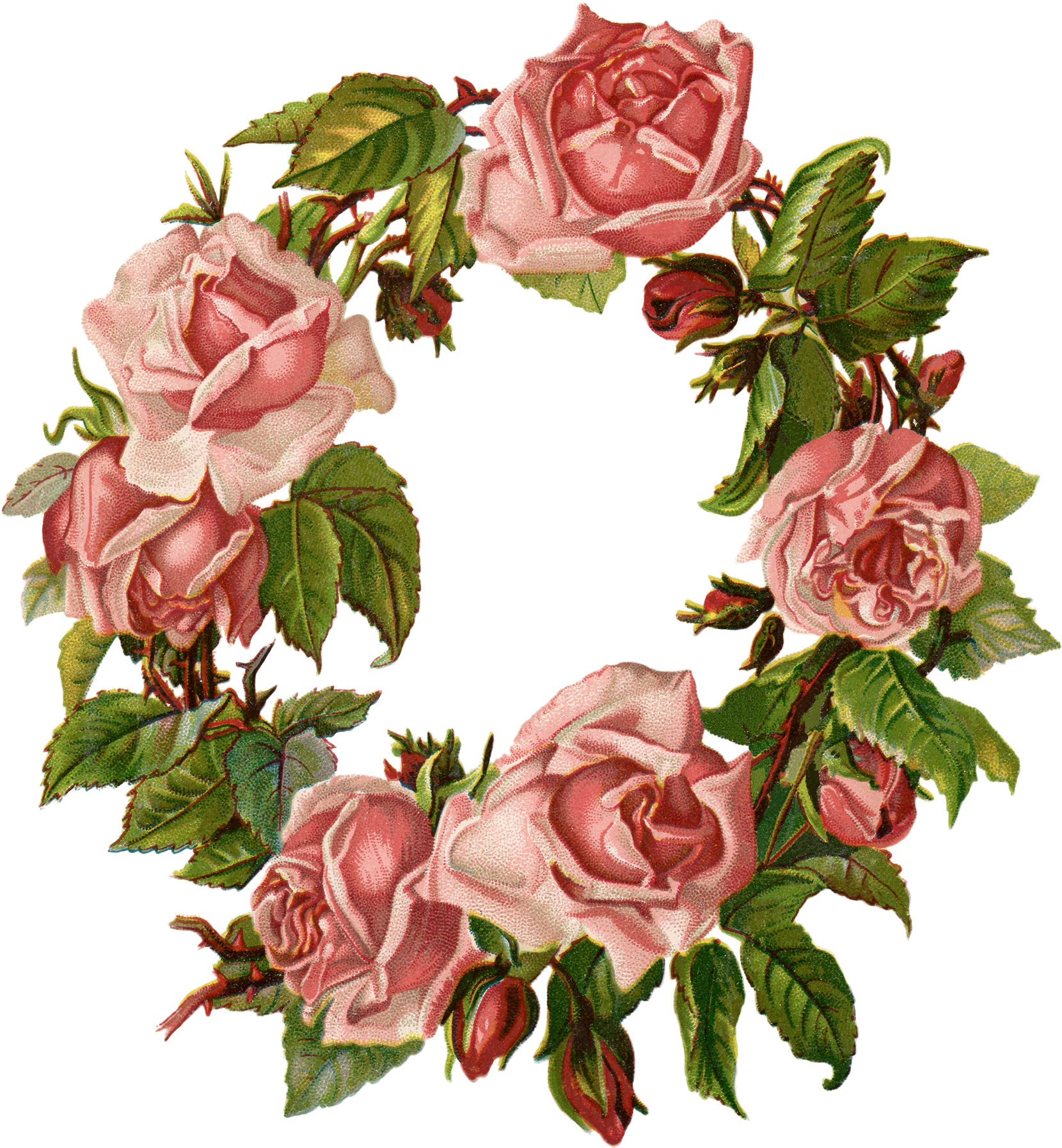 Cut Flowers Wreath Garden Roses Floral Design - Cut Flowers Wreath Garden Roses Floral Design (1667x1800)