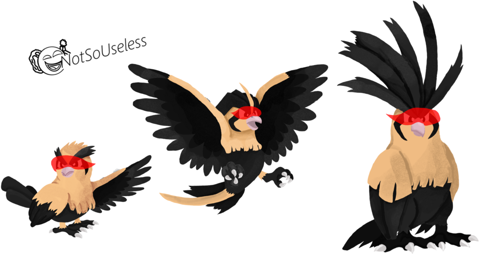 Pidgey (1024x541)