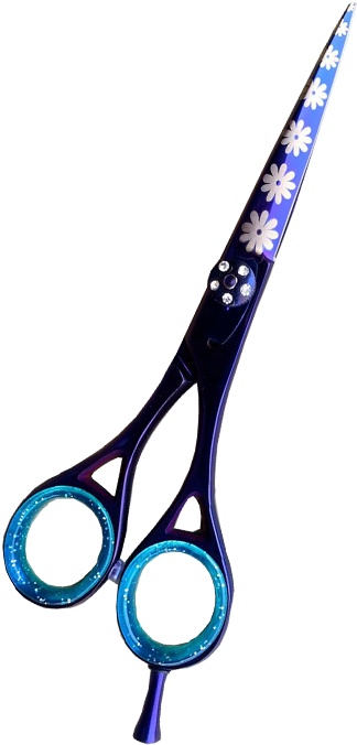 Japanese Stainless Steel - Scissors (800x800)