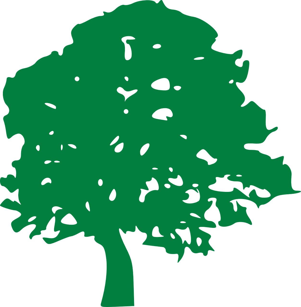 Tree Drawing Green Branches Png Image - Free Oak Tree Graphic (1253x1280)