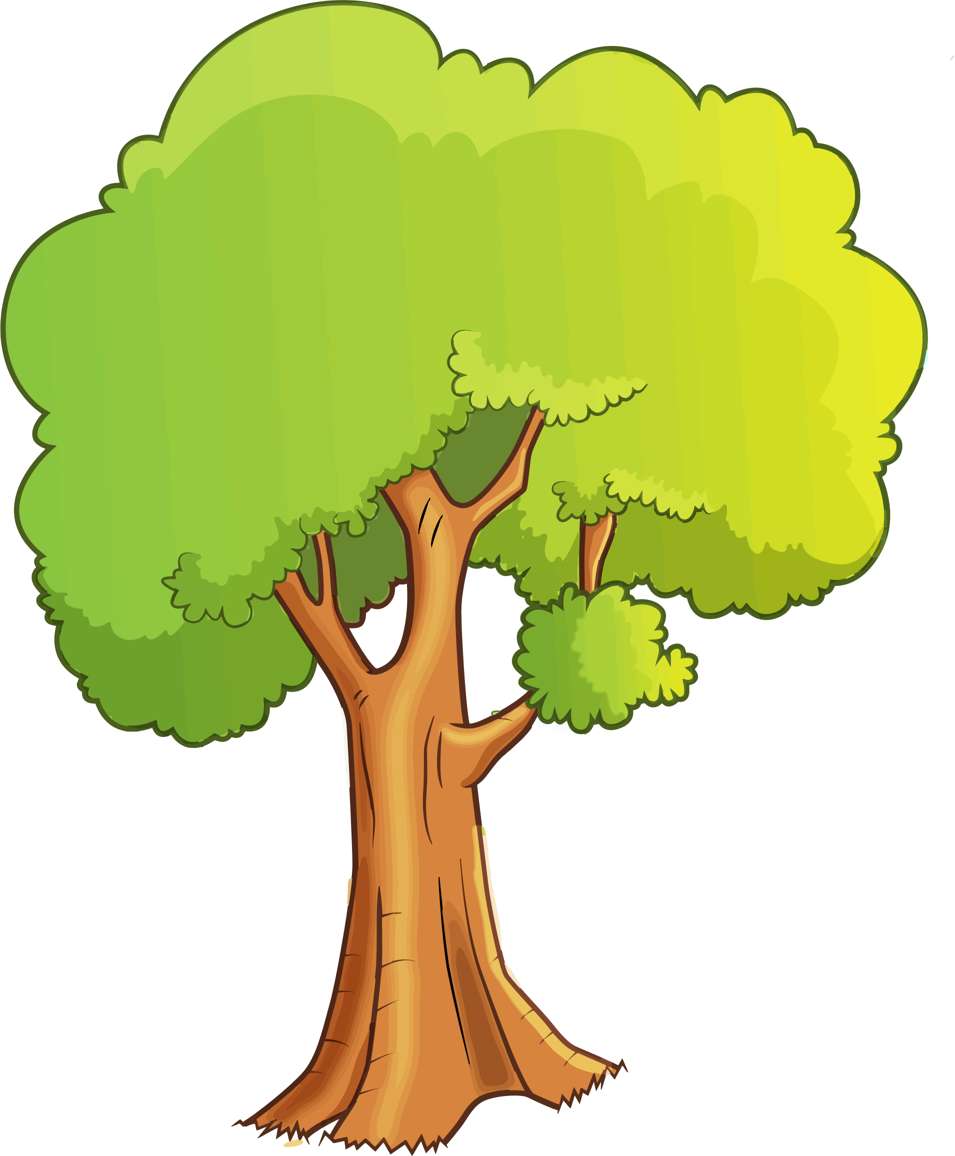 Tree Cartoon Drawing Clip Art - Clip Art Cartoon Tree (1910x2312)