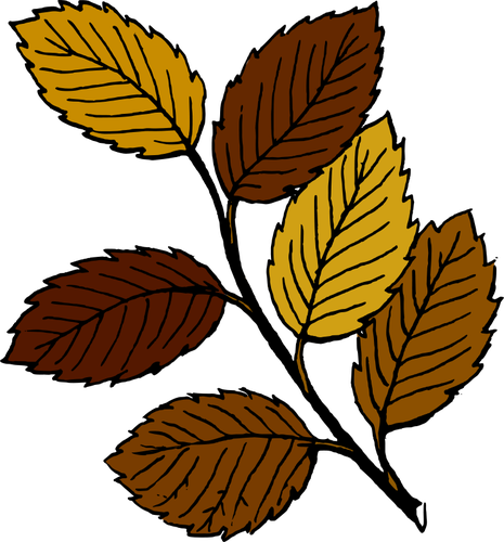 Autumn Leaves On Branch Vector Image - Leaves Clip Art (465x500)