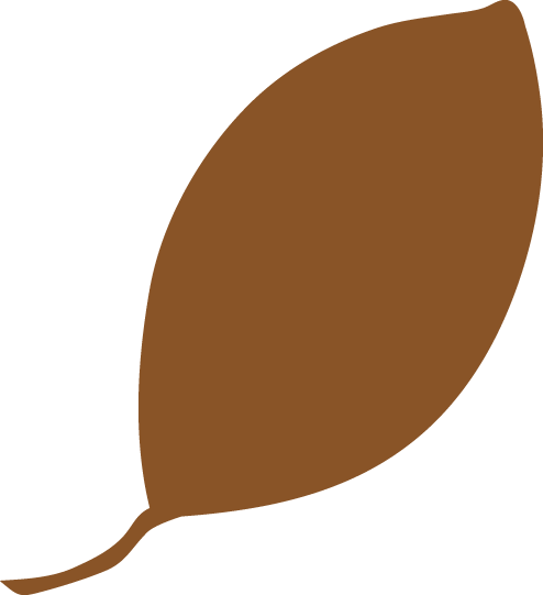 Fall Leaf Emblem - Fall Leaf Emblem (494x541)